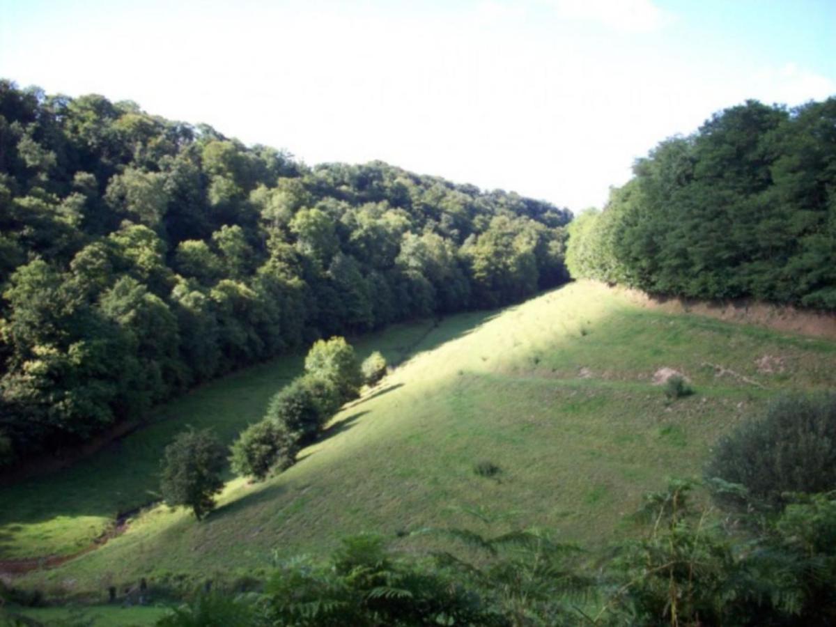 Cosy Chalet With Private Garden In Normandy Isigny-le-Buat Ruang foto